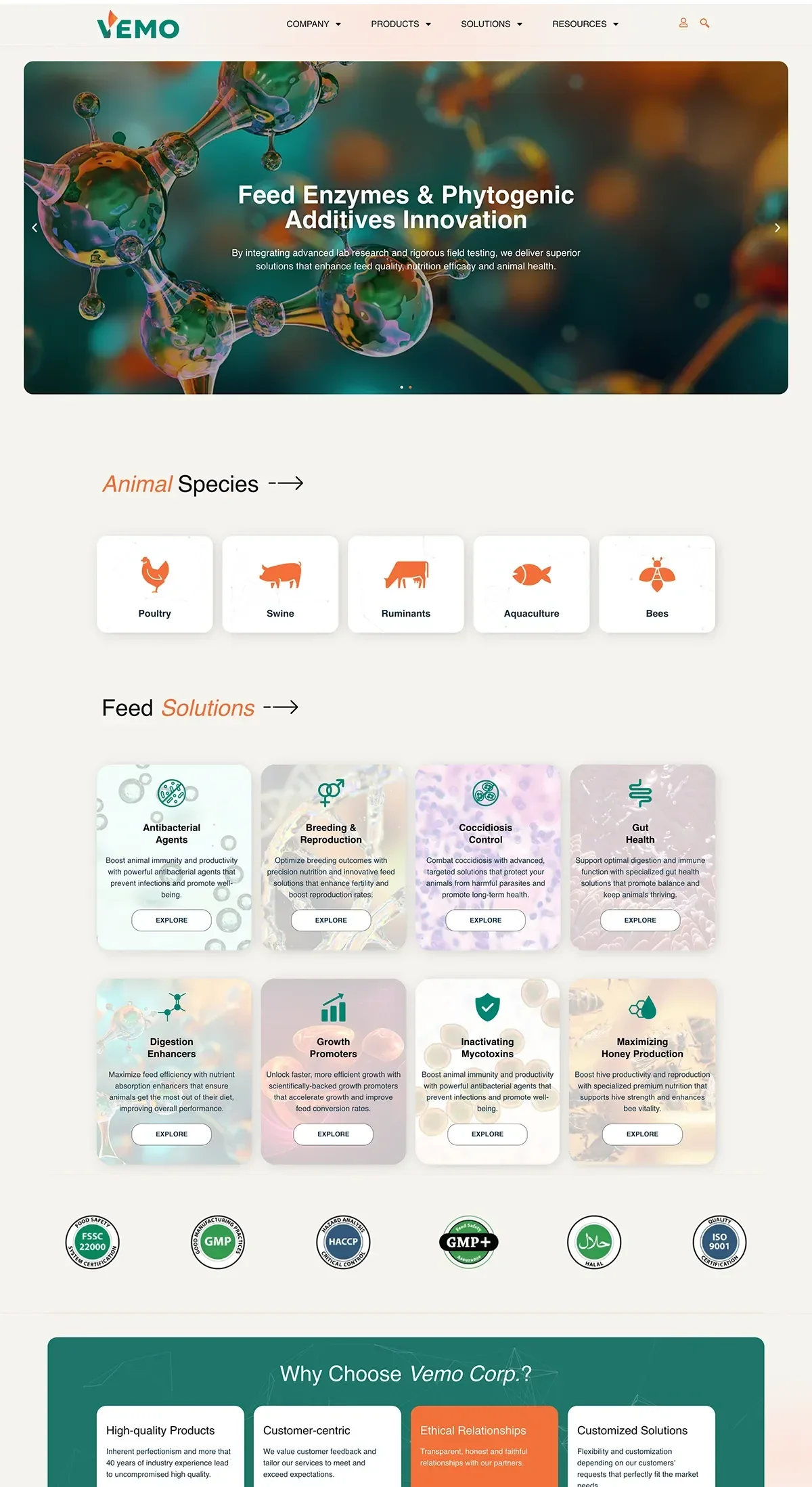 PROJECT Vemofeed.com by 88Lab